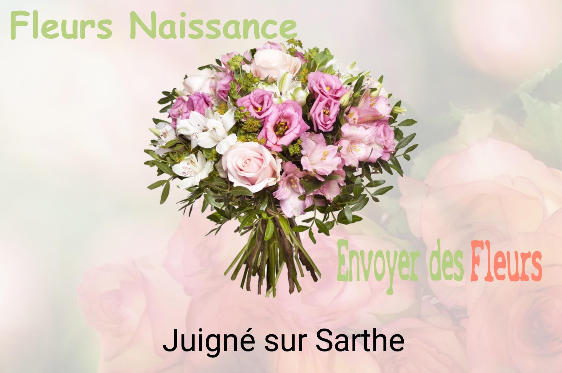 Bouquet de fleurs de naissance livré à Juigné-sur-Sarthe